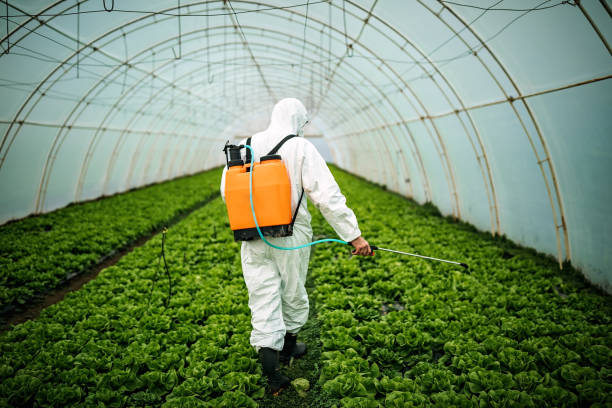 Insect Control in Roselle, IL