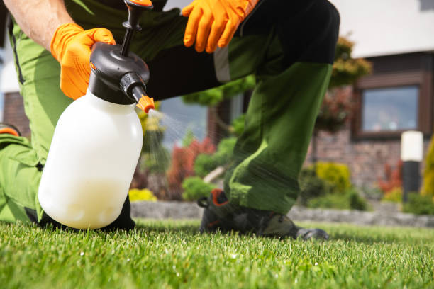 Best Pest Inspection Near Me  in Roselle, IL