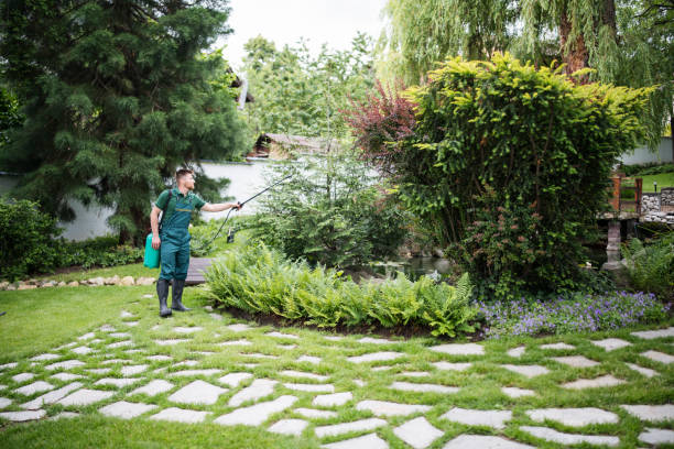 Best Mosquito Control Services  in Roselle, IL