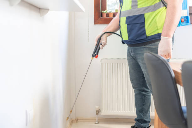 Best Ant Control Services  in Roselle, IL