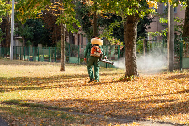 Best Residential Pest Control  in Roselle, IL