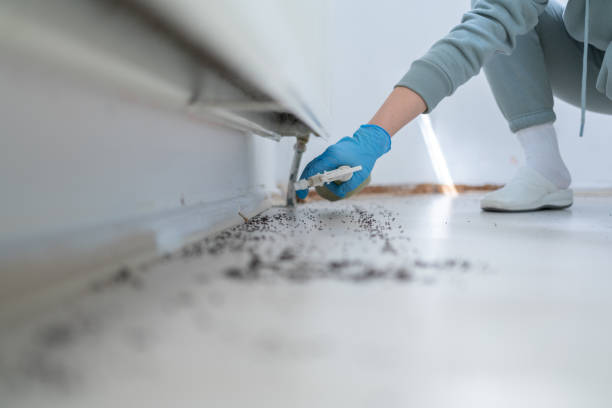 Best Pest Prevention Services  in Roselle, IL